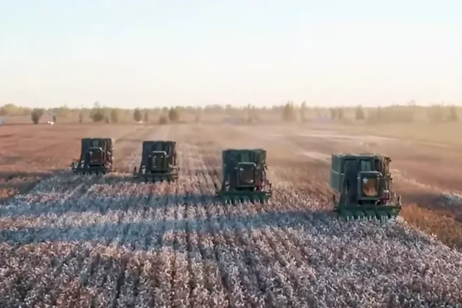 Xinjiang cotton